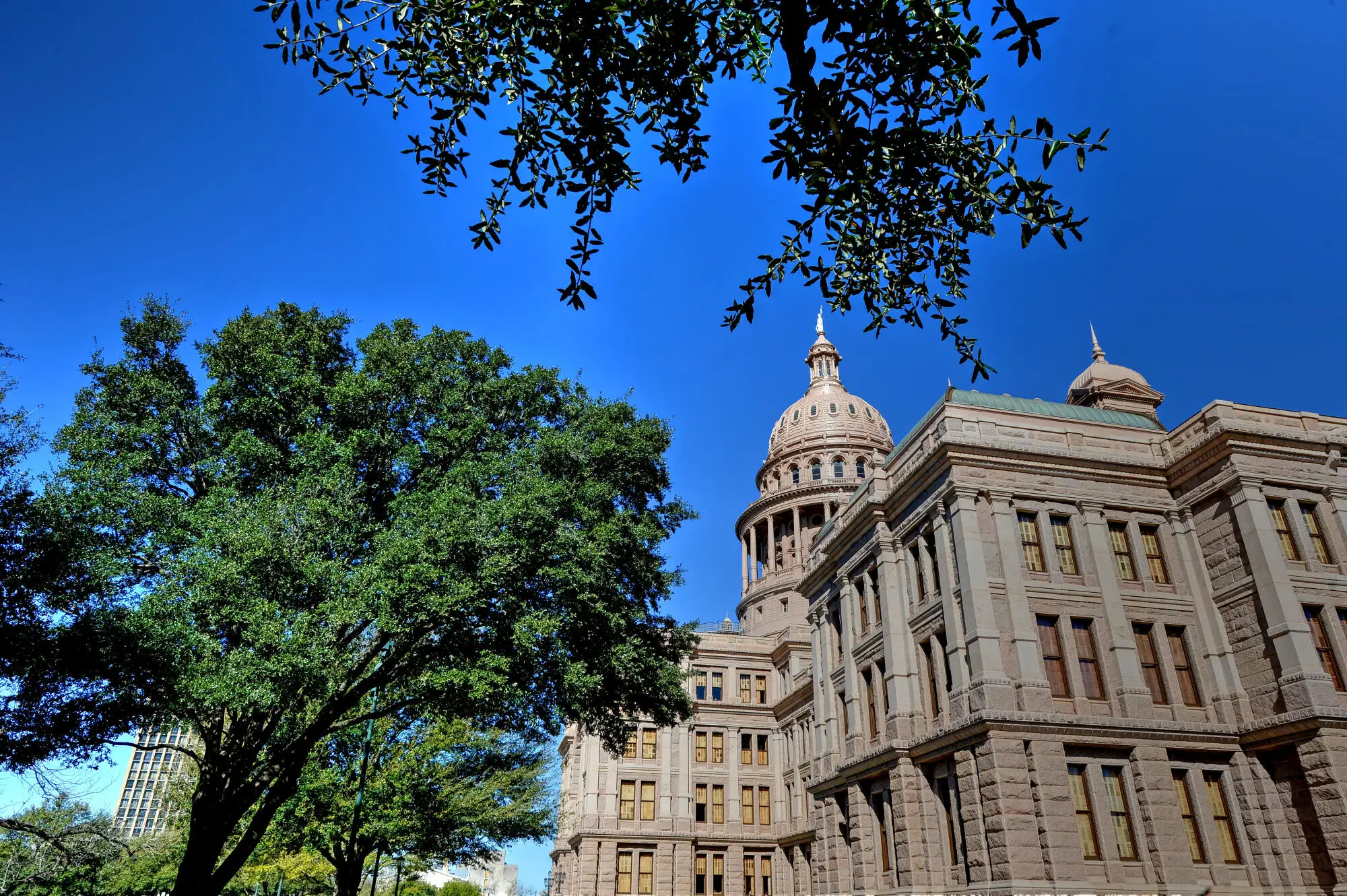Real Estate Consulting: Expert Advice for Smart Property Decisions in Austin